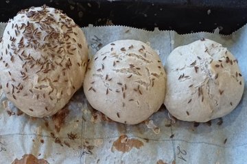 Listopadové Ekocentrum