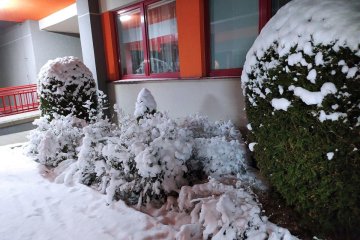 Vánoční prázdniny